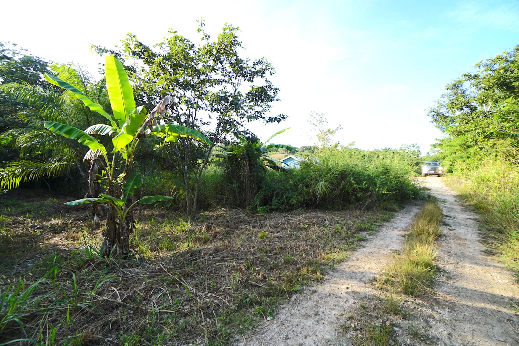Residential Lot for Sale in San Ignacio Town, Cayo • Vista Real Estate